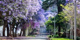 5 Up-and-Coming Neighborhoods in Pretoria Worth Investing In